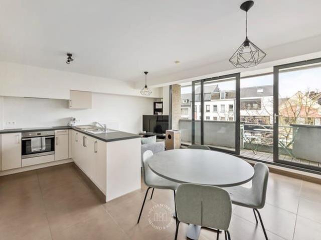 Kot location à Dendermonde, Oost-Vlaanderen