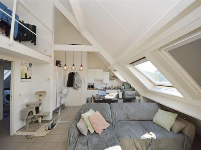 Kot location à Melle, Oost-Vlaanderen