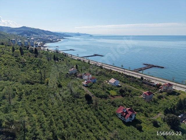 Karakoç, Keşap içerisinde satılık Arsa