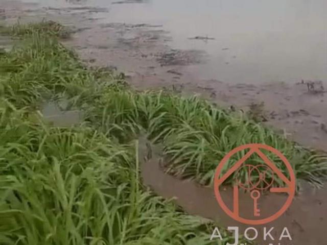 Rancho en venta en Tampico Alto, Veracruz