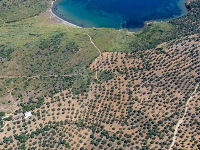 Ayvalik, Balikesir içerisinde satılık mülk