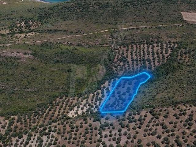 Ayvalik, Balikesir içerisinde satılık mülk