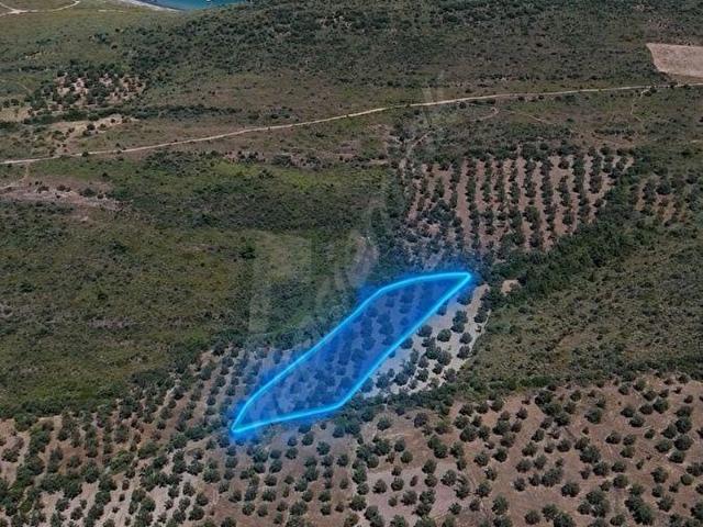 Ayvalik, Balikesir içerisinde satılık mülk