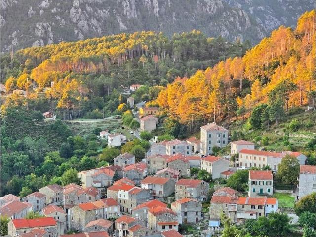 Maison vente à Corte, Ghisoni