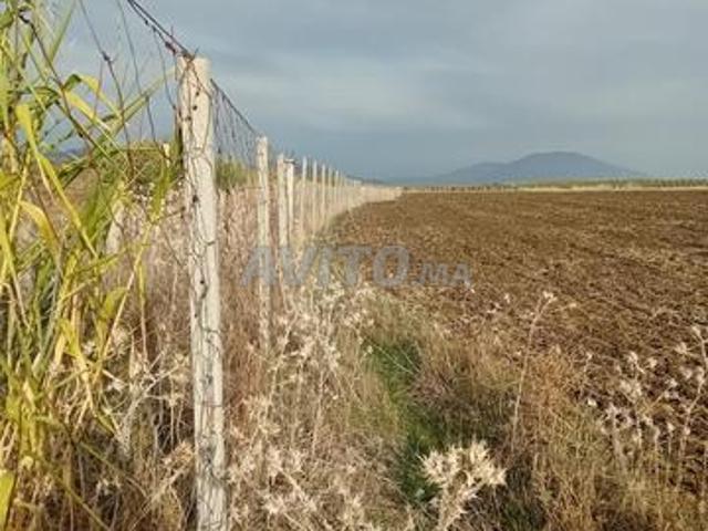 Propriété vente à Taounate