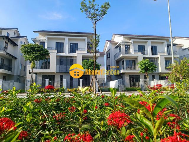 Biệt Thự bán