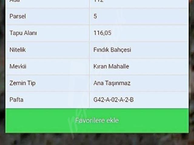 Güneyköy, Görele içerisinde satılık Arsa