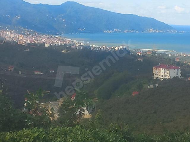 Mınak, Tirebolu içerisinde satılık mülk