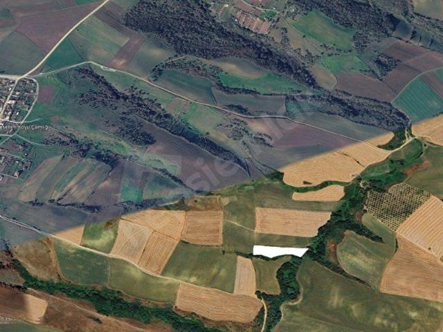 Müsellim, Muratlı içerisinde satılık Arsa