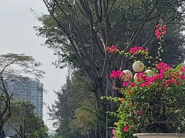 Nhà mặt phố bán tại Thủ Đức, Hồ Chí Minh