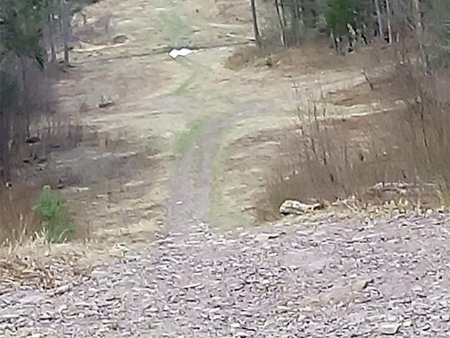 Land for sale in Fallsburg, New York