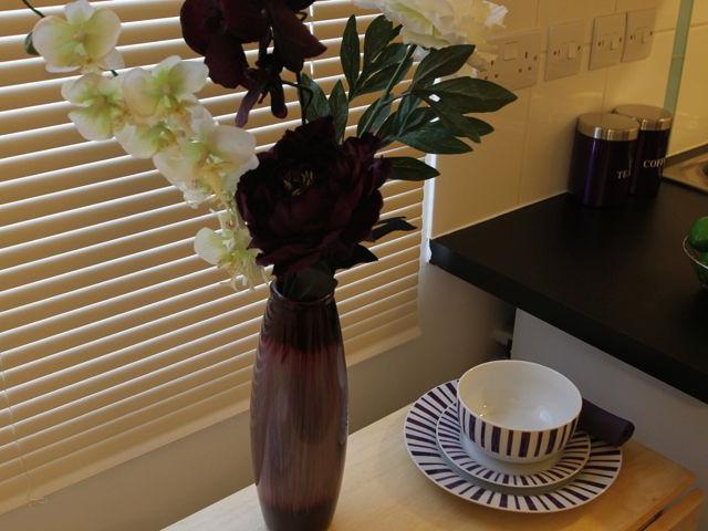 Studio for rent in Greenbank, Mount Wise
