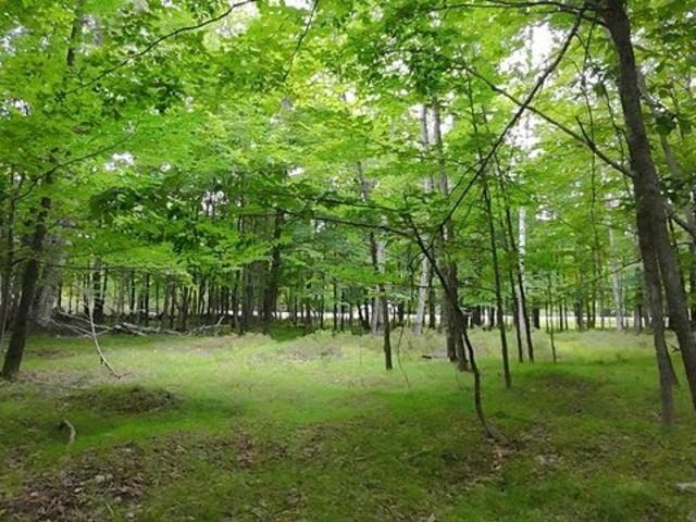 Land for sale in Fish Creek, Wisconsin