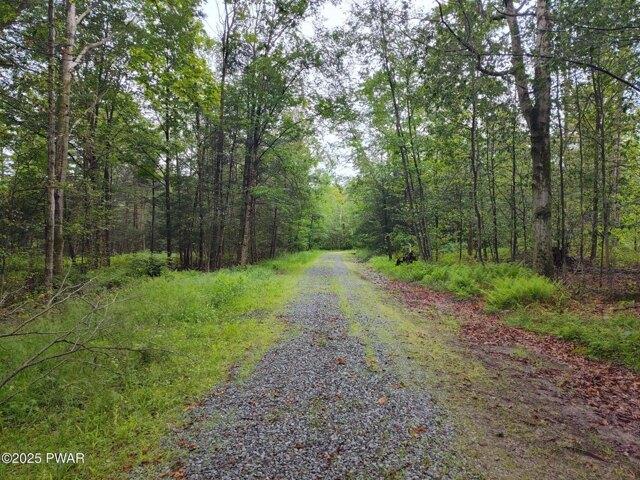 Land for sale in Newfoundland