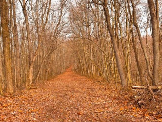 Land for sale in Ross, Ohio