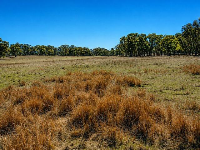 Cottage for sale in Torrington, New South Wales