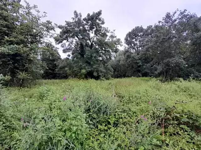 Terrain vente à Palaiseau, Gif-sur-yvette