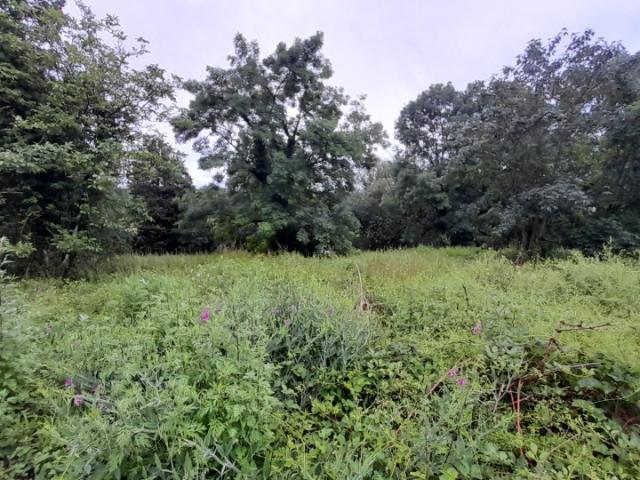 Terrain vente à Palaiseau, Gif-sur-yvette