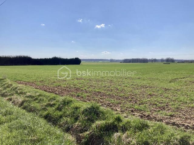 Terrain vente à Vitry-le-François, Giffaumont-champaubert