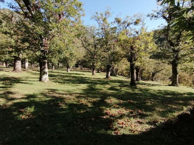 Terreno in vendita a Giffoni Valle Piana, Campania