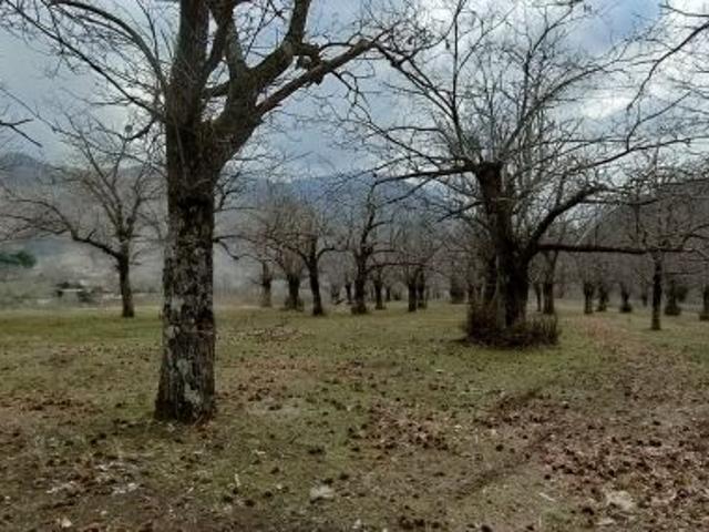 Terreno in vendita a Giffoni Valle Piana, Campania
