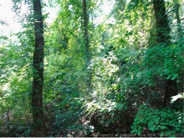 Land for sale in Eastover, Cumberland County
