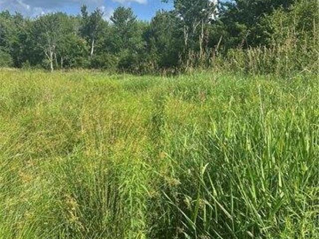 Land for sale in Gilboa, New York