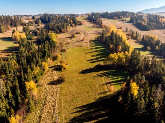 Grunt na sprzedaż w Biały Dunajec, Małopolskie