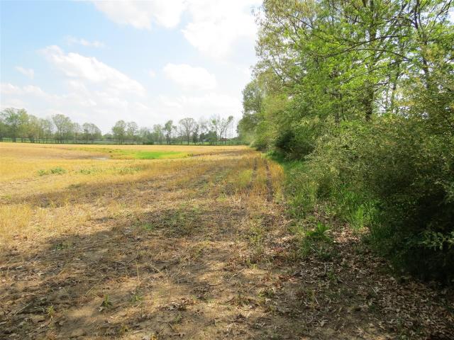 Land for sale in Michigan