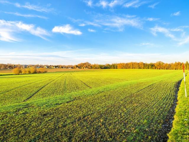 Landwirtschaft kaufen in Gilgenberg am Weilhart, Oberösterreich