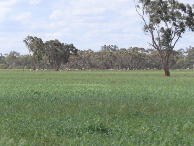 Property for sale in Cobar, New South Wales