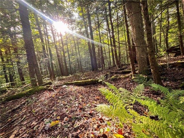 Land for sale in Spencer, New York