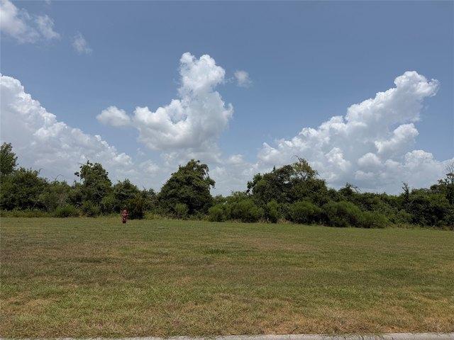 Land for sale in Mont Belvieu, Chambers County