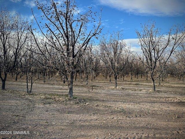 Farm for sale in Dona Ana, New Mexico
