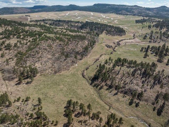 Land for sale in Hill City, South Dakota