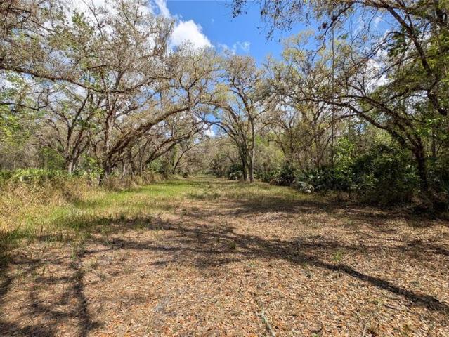 Land for sale in Zolfo Springs, Florida