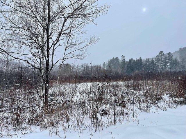 Land for sale in Lyndon, Vermont