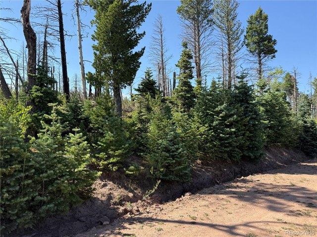 Land for sale in Fort Garland, Costilla County