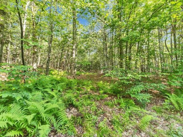 Land for sale in Sullivan, Cheshire County