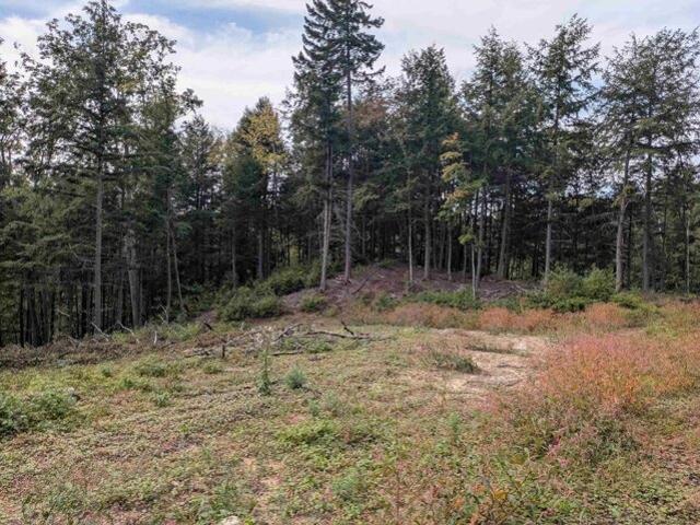 Land for sale in East Sullivan, Sullivan
