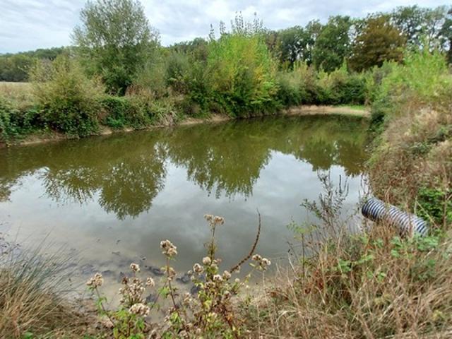 Terrain vente à France métropolitaine, Gimbrède