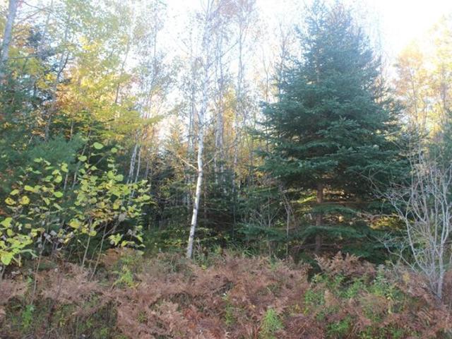 Land for sale in North Perry, Perry