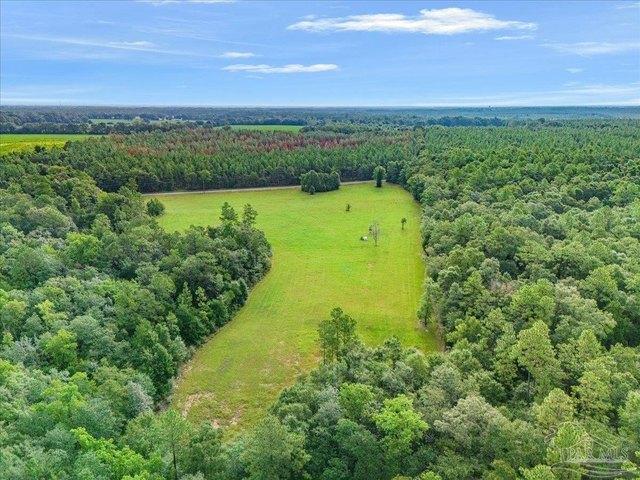 Land for sale in Jay, Florida