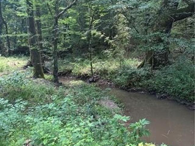 Land for sale in Pineville, Louisiana
