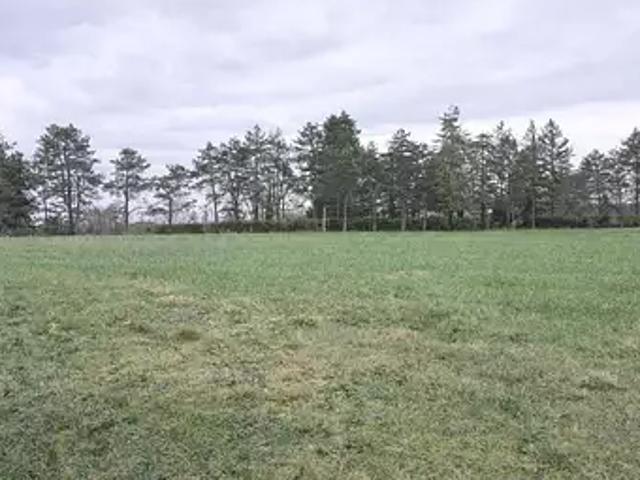 Terrain vente à Bergerac, Ginestet