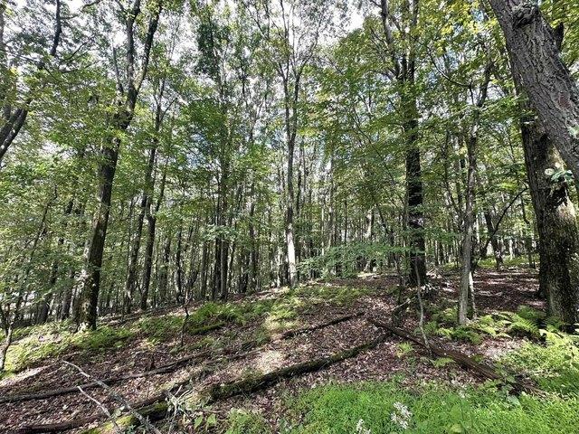 Land for sale in Terra Alta, West Virginia