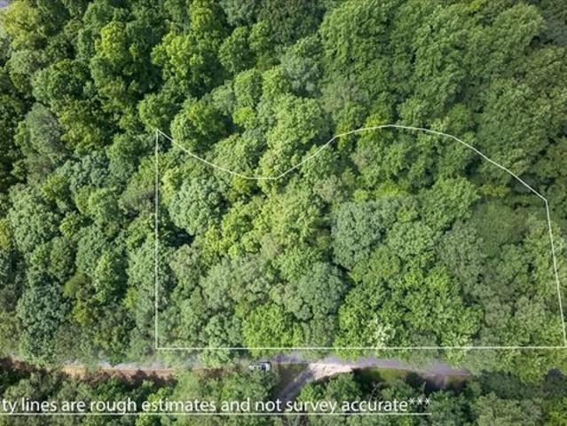 Land for sale in Pickens, Georgia