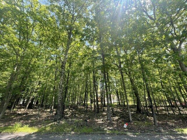 Land for sale in East Stroudsburg