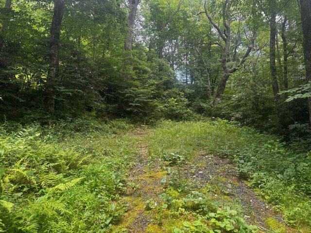 Land for sale in Avery, North Carolina