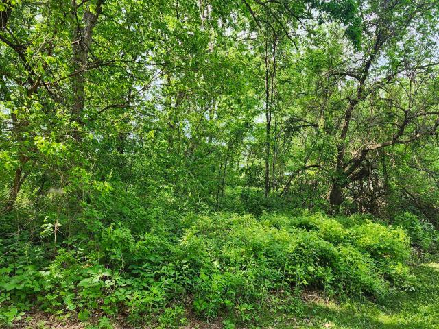 Land for sale in Muscoda, Wisconsin